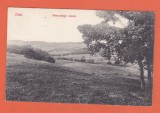 AMS @ - ILUSTRATA ZALAU, ZILAH - MESZESHEGYI RESZLET 1913, CIRCULATA