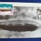 Aviatie - ARIPI ROMANESTI - CP ZEPPELIN Dirijabilul ITALIA a survolat Polul Nord