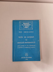 Mircea Ganga - Teste de algebra si analiza matematica clasele XI-XII foto