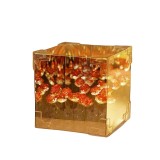 Lampa Cub cu Trandafiri Roșii DIY 10x10x10 cm &ndash; Efect Infinity Mirror, LED, Baterie Inclusă, 180g &ndash; Cadou Romantic Original &ndash; Innovium