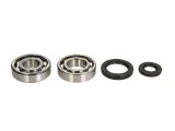 Cumpara ieftin Lagare cu arbore cotit set cu garnituri pentru SUZUKI RM 250 1986-1988