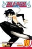 Bleach, Volume 18