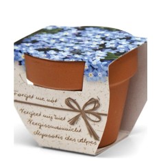 Greengift Terracotta Terracotta Forget me Not Kit Gradinarit
