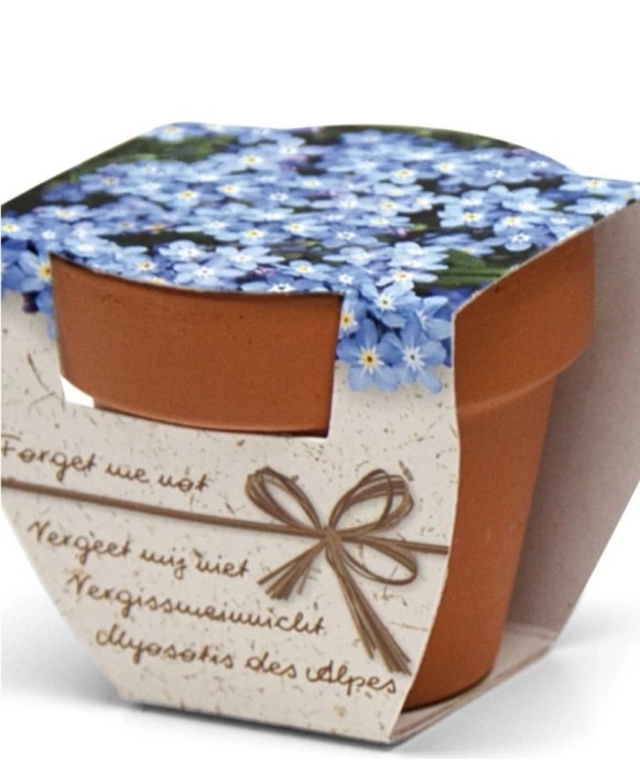 Greengift Terracotta Terracotta Forget me Not Kit Gradinarit