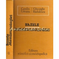 Bazele Membranologiei - Candin Liteanu, Gheorghe Radulescu