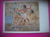 HOPCT 6936 PE NIL -EGIPT -AFRICA-NECIRCULATA