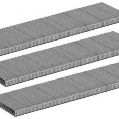 Set 5000 capse 25 x 5.8 x 1.2 mm pentru capsatoare Raider