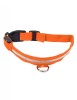 Zgarda pentru Caine sau Pisica Iluminata cu LED Orange AVX-AG232C, AVEX