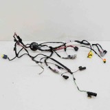 Cablaj Usa Stanga Spate Tesla Model X 2018 OEM 1032441-00-G