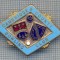 AX 363 INSIGNA BOWLING -CAMBRIDGE COUNTY BOWLING CLUB -MAREA BRITANIE