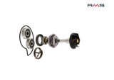 Set reparatie pompa apa Piaggio Beverly 250 &#039;06