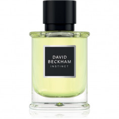 David Beckham Instinct Eau de Parfum pentru bărbați 50 ml