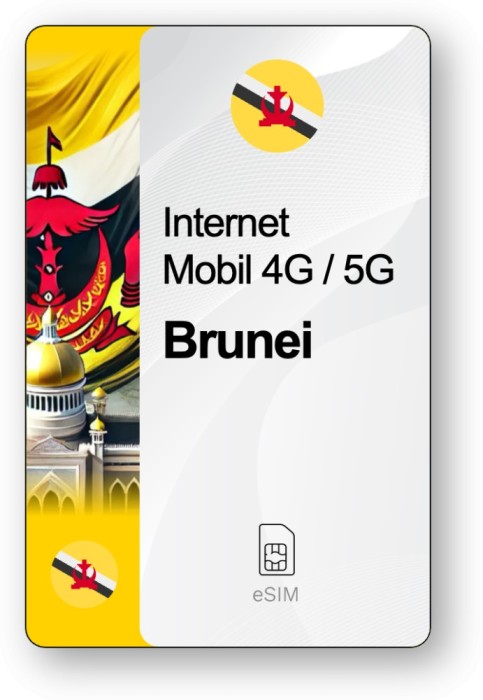 eSIM Internet Brunei, valabil 30 zile, trafic 10 GB