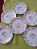Portelan Bavaria Elfenbein, frumos set de 6 farfurioare desert