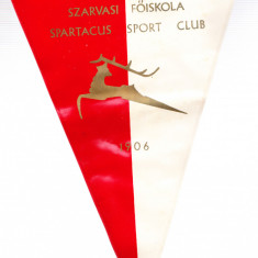 AMS - FANION SZARVASI FOISKOLA SPARTACUS SPORT CLUB 1906