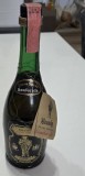 Brandy Gambarota