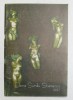 ELENA SURDU STANESCU , CATALOG DE EXPOZITIE , GALLERIA SAN VIDAL , VENEZIA . 1997