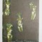 ELENA SURDU STANESCU , CATALOG DE EXPOZITIE , GALLERIA SAN VIDAL , VENEZIA . 1997