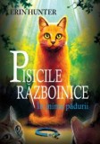 Pisicile razboinice (vol. 1): In inima padurii - Editura All