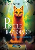 Pisicile razboinice (vol. 1): In inima padurii, ALL