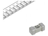 Siguranță &Icirc;nt&acirc;rziere 1.5A 125V SMD, Littelfuse