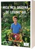 Mica mea grădină de legume bio pe 15m&sup2; - Paperback brosat - Arthur Mott&eacute; - Act și Politon