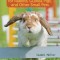 Clicker Training for Rabbits, Hamsters, and Other Pets
