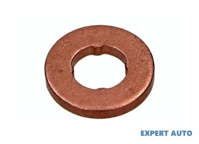 Saiba injector Citroen DISPATCH 2007-2016 foto