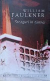 STEAGURI IN TARANA-WILLIAM FAULKNER-274426