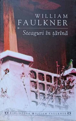 STEAGURI IN TARANA-WILLIAM FAULKNER-274426 foto