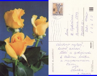 Ilustrata Cehia-Felicitare flori foto