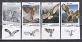 Centrafricana 2020 - Bufnițe, Serie cu Tabs, MNH