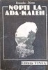 Nopti la Ada-Kaleh - Romulus Dianu - Editura Vinea, 1990, Romana, Beletristica, Roman