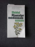 GHIDUL PLANTELOR MEDICINALE UZUALE - FLORENTIN CRACIUN