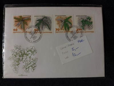 Liechtenstein - 1992 - FDC foto