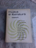 MUZICA SI LITERATURA ROMANA - ESEURI