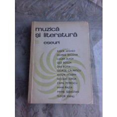 MUZICA SI LITERATURA ROMANA - ESEURI