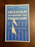 CEI 6 STALPI AI ELIBERARII TALE FINANCIARE - Doru Pelivan, Pera Novacovici