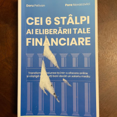 CEI 6 STALPI AI ELIBERARII TALE FINANCIARE - Doru Pelivan, Pera Novacovici