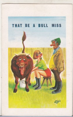 bnk cp Anglia - carte postala umoristica - necirculata foto