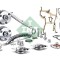 INA 560 0002 10 INA Engine KIT chit lant de distributie