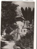 CPI B13658 CARTE POSTALA - SINAIA - PELISORUL, RPR, Circulata, Fotografie