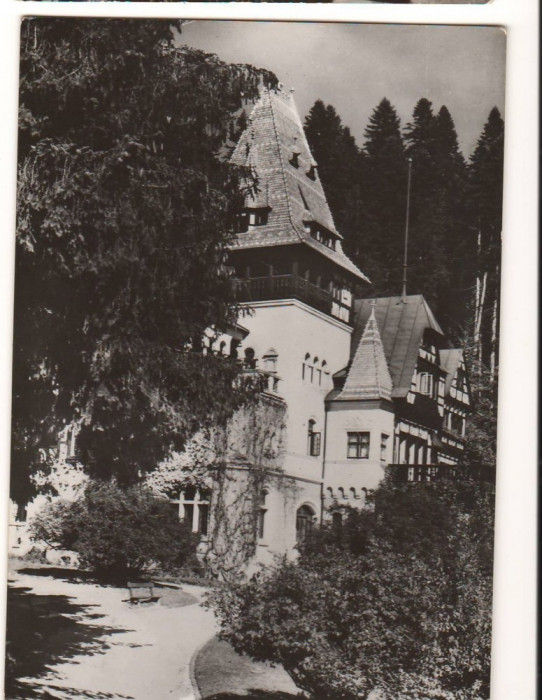 CPI B13658 CARTE POSTALA - SINAIA - PELISORUL, RPR