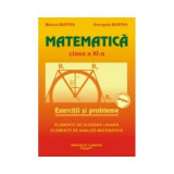 Matematica. Exercitii si probleme. Clasa a XI-a | Marius Burtea, Georgeta Burtea, Carminis