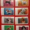 UMM AL QIWAIN, C&Acirc;INI - SERIE COMPLETĂ MNH IMPERF.
