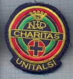 AX 1191EMBLEMA CHARITAS UNITALSI-ASOCIATIE CATOLICA DE INGRIJIRE-PT COLECTIONARI