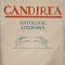 GANDIREA. ANTOLOGIE LITERARA-EMIL PINTEA-226096