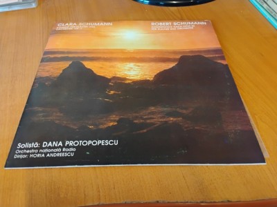 Clara Schumann. Robert Schumann . Vinil foto