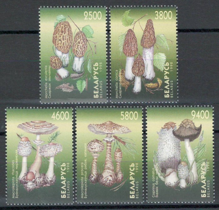 Belarus 1998 Mi 280/84 MNH - Ciuperci (I)