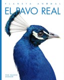 El Pavo Real